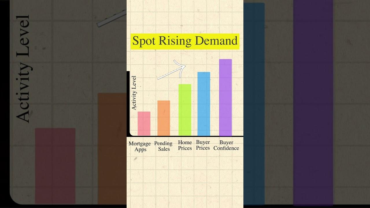 What is Supply & Demand?