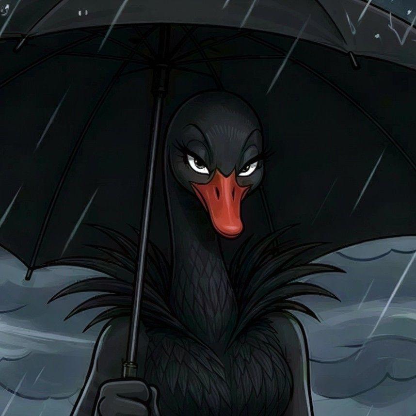 Black Swan